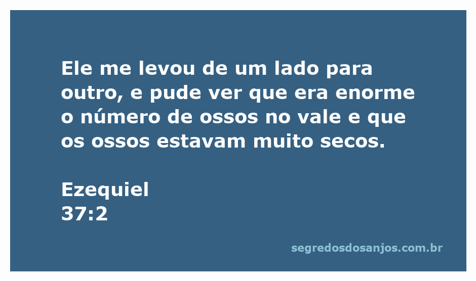 Visão do vale cheio de ossos secos, representando a passagem de Ezequiel 37:2 na Bíblia.