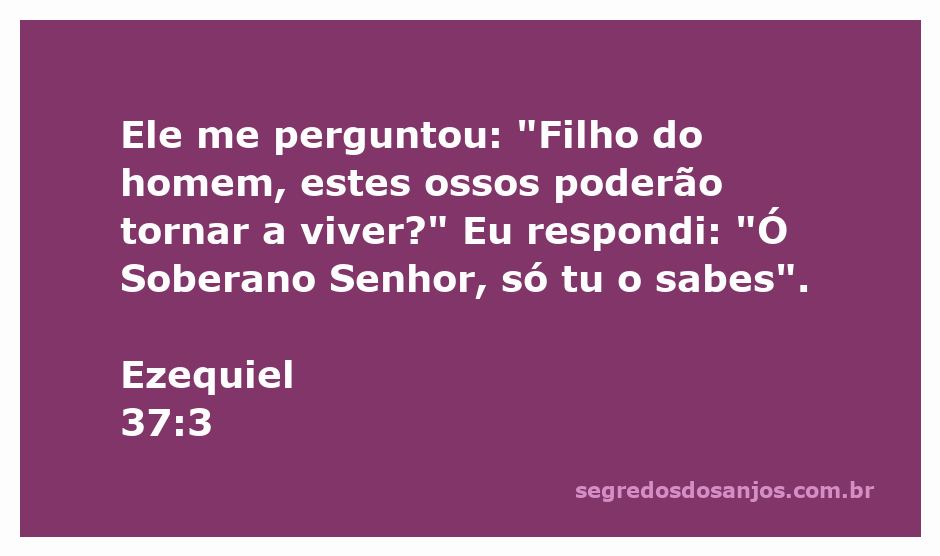 Imagem representativa da passagem de Ezequiel 37:3, mostrando um vale de ossos secos com a figura de um profeta contemplando.