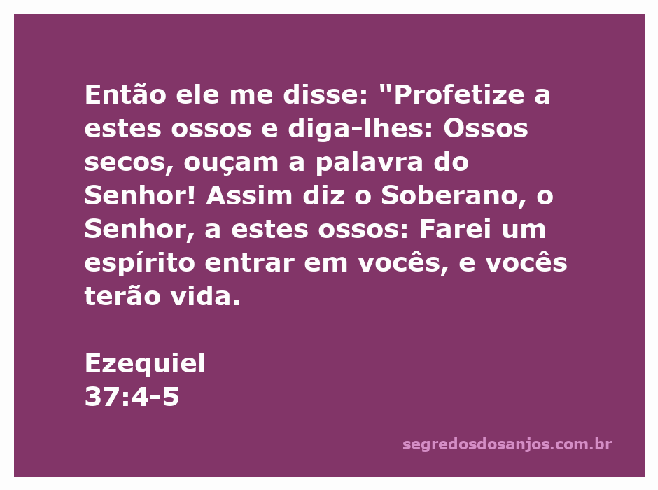 Imagem representando a ressurreição dos ossos secos conforme a visão de Ezequiel, simbolizando esperança e renovação espiritual.
