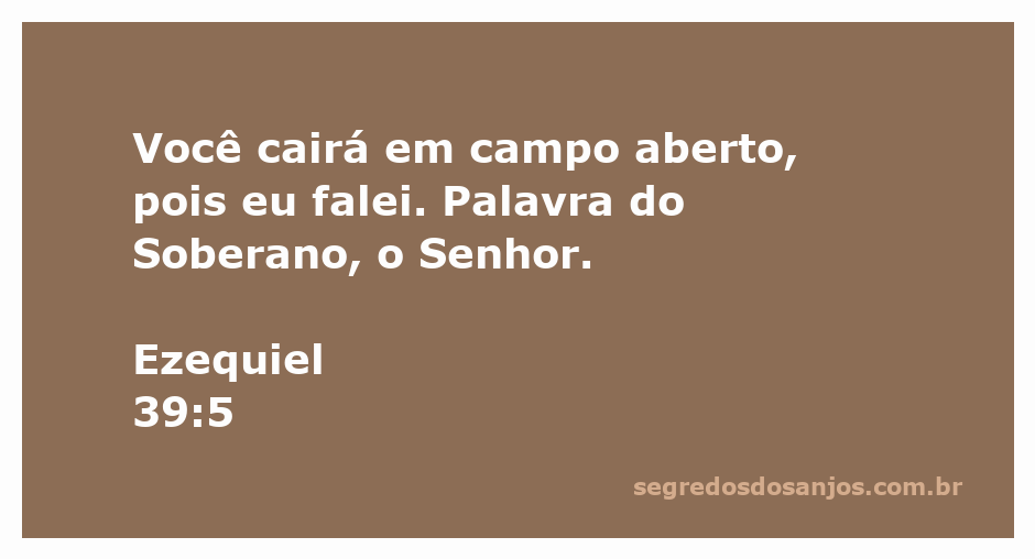 Ilustração do versículo Ezequiel 39:5, destacando a frase 'Você cairá em campo aberto, pois eu falei.' com um fundo que remete a campos abertos.