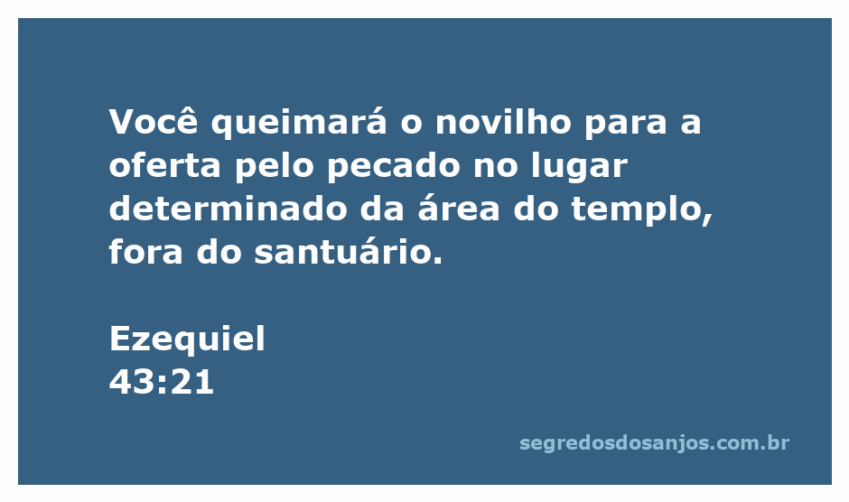 Imagem de um sacerdote queimando um novilho como oferta pelo pecado no templo.
