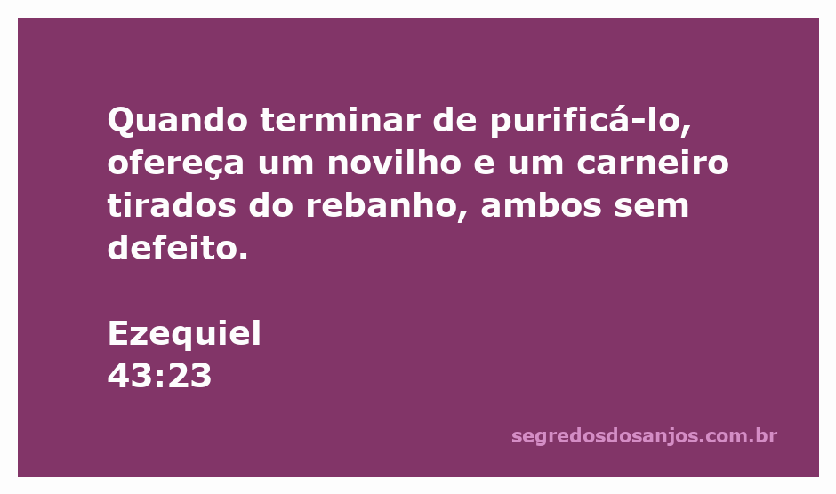 Ilustração do ato de purificação descrito em Ezequiel 43:23, mostrando um novilho e um carneiro sem defeito sendo oferecidos.