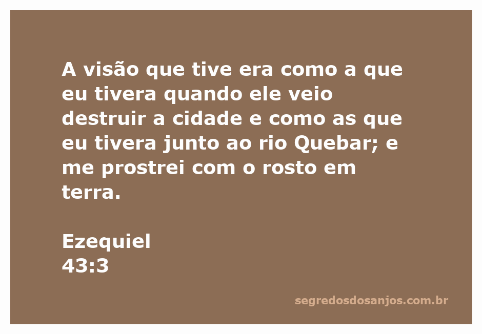 Profeta Ezequiel em visão, prostrado com o rosto em terra, diante da manifestação divina.