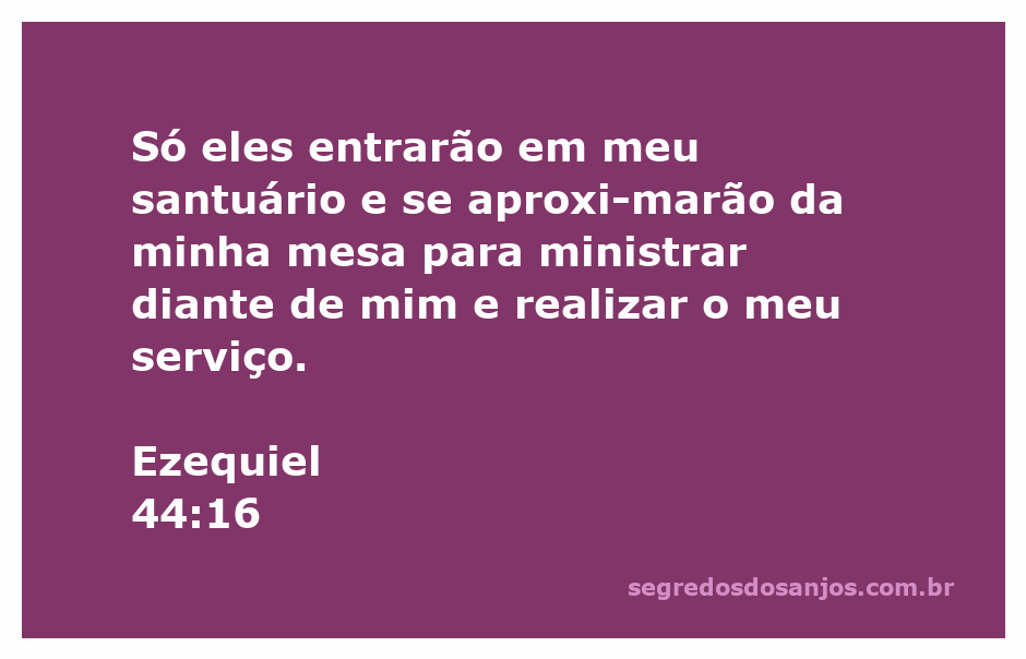 Sacerdotes entrando no santuário para ministrar conforme Ezequiel 44:16