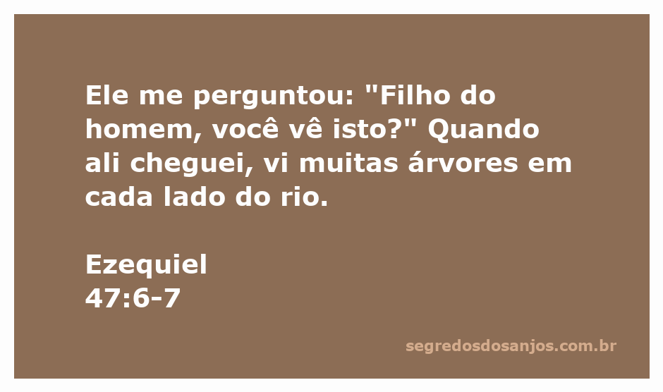 Visão de muitas árvores ao longo de um rio, representando a passagem de Ezequiel 47:6-7.