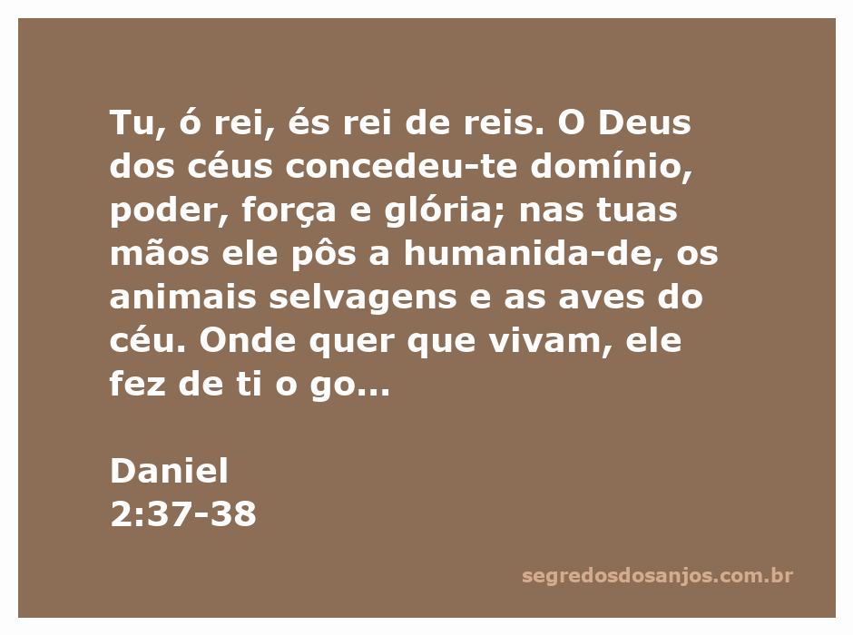 Imagem representativa da passagem de Daniel 2:37-38, destacando o rei como governante e símbolo de poder.