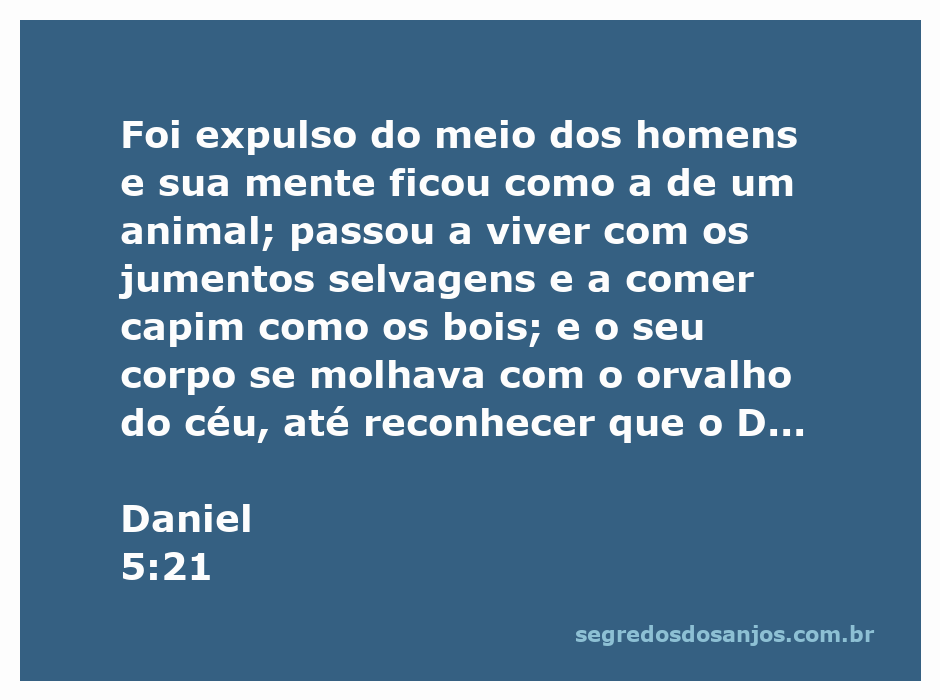 Imagem representativa da transformação de um rei em animal, simbolizando a queda do orgulho e a soberania de Deus.