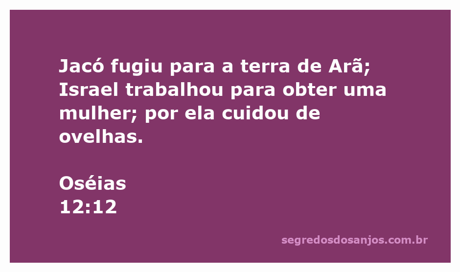 Imagem representativa de Jacó fugindo para Arã e cuidando de ovelhas