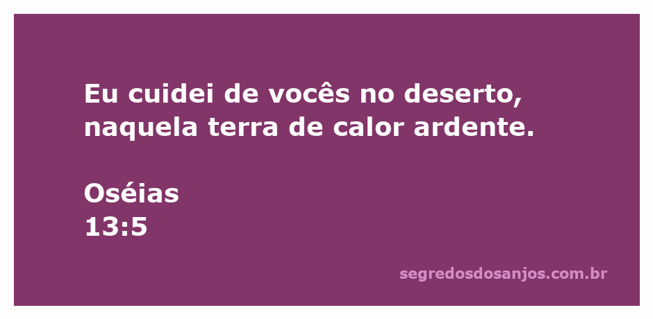 Imagem representativa do deserto com calor intenso, simbolizando o cuidado de Deus conforme Oséias 13:5.