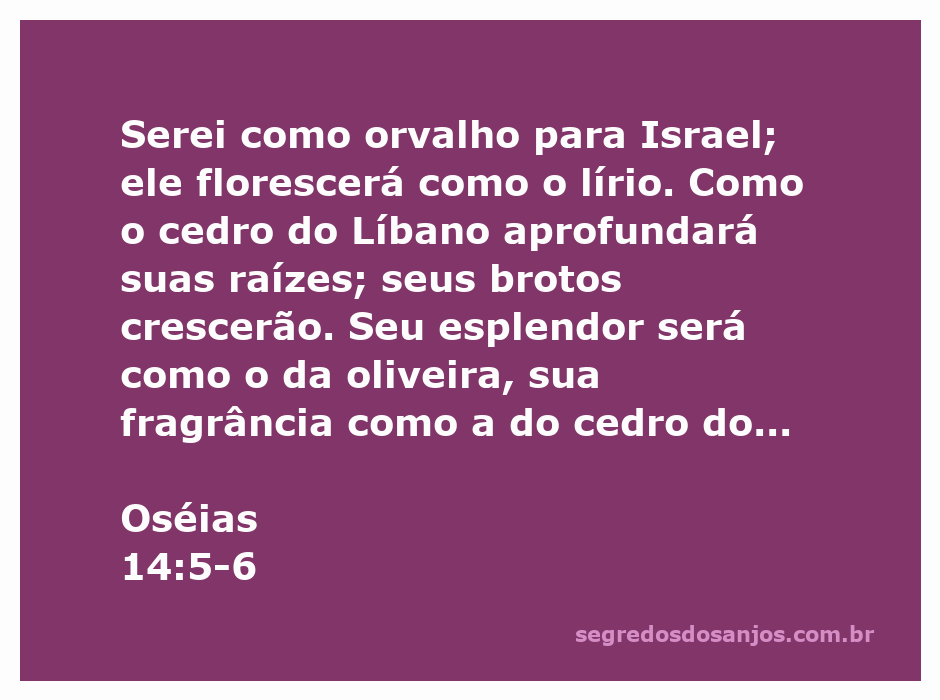 Imagem representativa de Oséias 14:5-6, mostrando flores e cedros do Líbano, simbolizando a renovação e o esplendor de Israel.