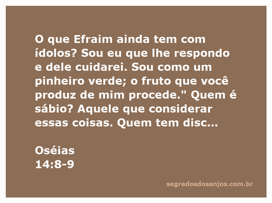 Imagem representativa do versículo de Oséias 14:8-9, destacando a relação entre Efraim e Deus, simbolizada por um pinheiro verde.