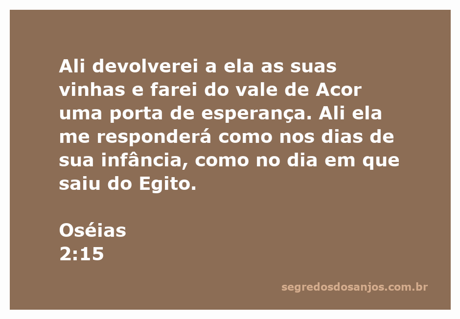 Imagem que representa a promessa de esperança em Oséias 2:15, com vinhas e um vale.
