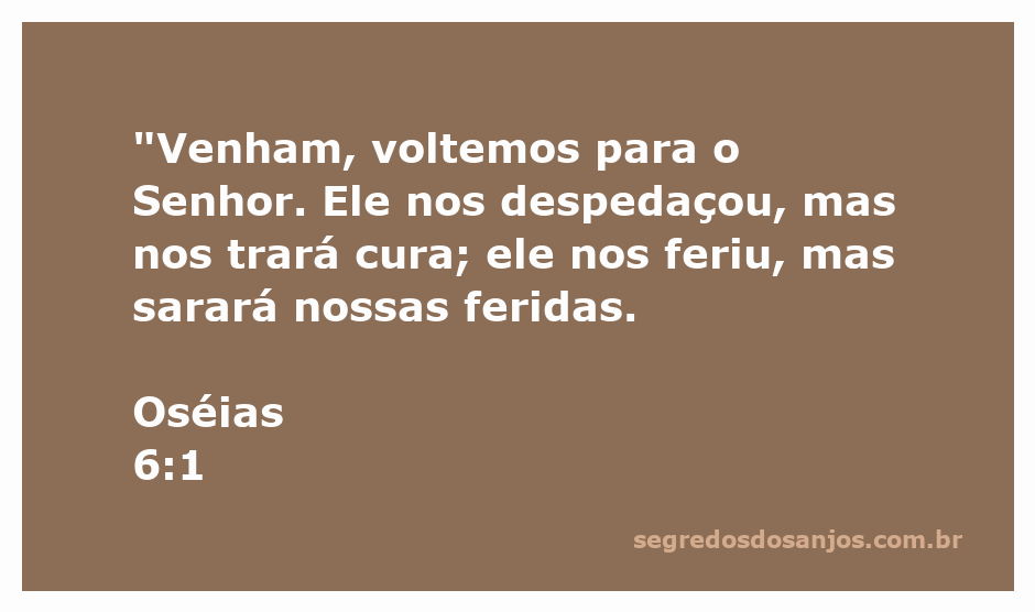 Imagem inspiradora com a citação de Oséias 6:1, destacando a chamada ao arrependimento e à cura divina.