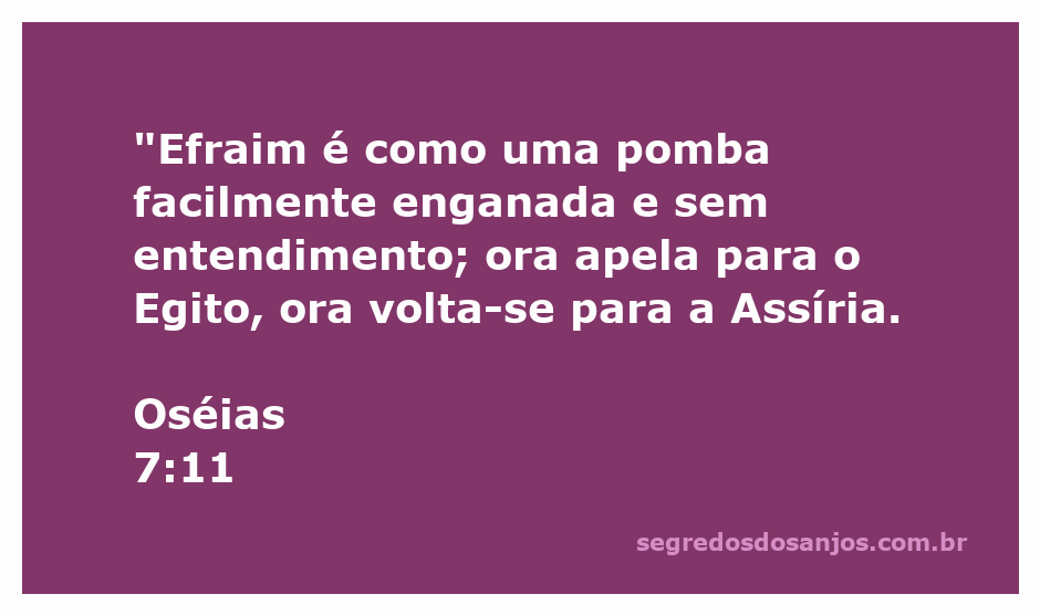 Imagem representativa de Efraim como uma pomba, simbolizando ingratidão e falta de discernimento nas decisões.