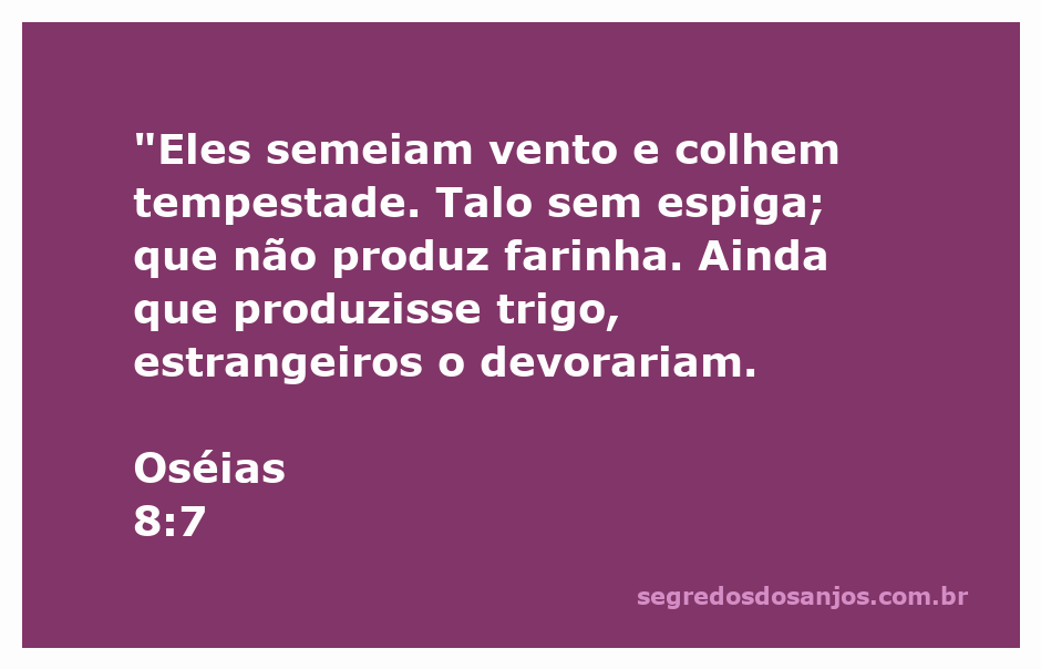 Imagem representativa de Oséias 8:7, simbolizando a semeadura de vento e a colheita de tempestade.