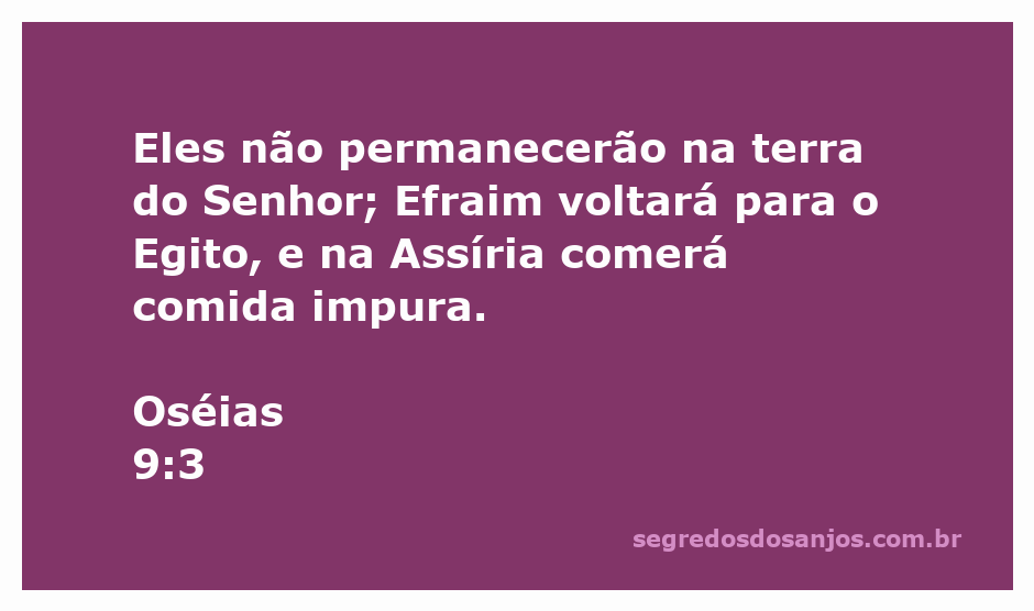 Ilustração do versículo de Oséias 9:3, mostrando Efraim retornando ao Egito e à Assíria, simbolizando a perda da terra prometida.
