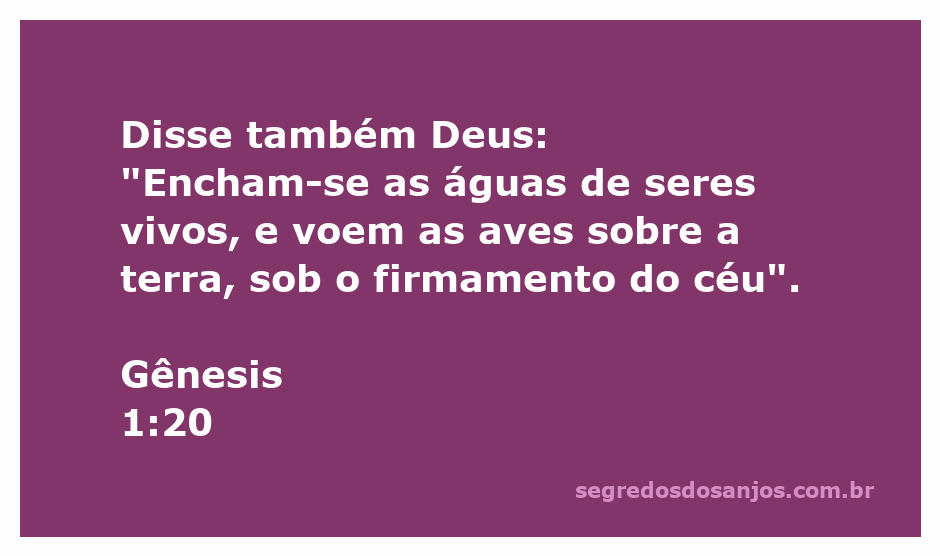 Imagem representando a criação de seres vivos nas águas e aves voando sobre a terra, conforme Gênesis 1:20.