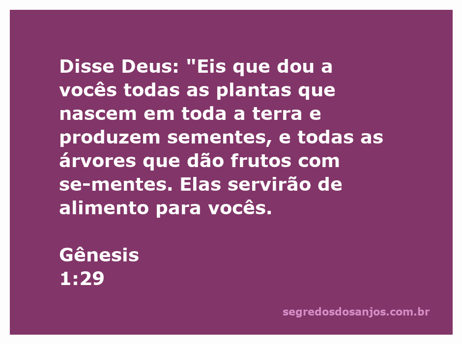 Imagem representativa de plantas e árvores frutíferas, simbolizando a provisão de alimento conforme Gênesis 1:29.