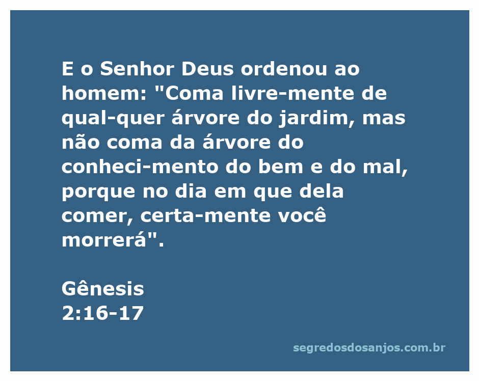 Imagem representando Gênesis 2:16-17, onde Deus ordena ao homem que não coma da árvore do conhecimento do bem e do mal.