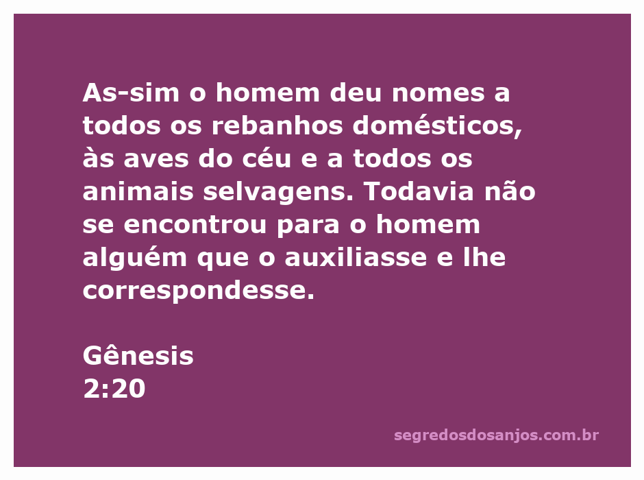 O homem nomeando os animais, representando a criação e a busca por companhia.