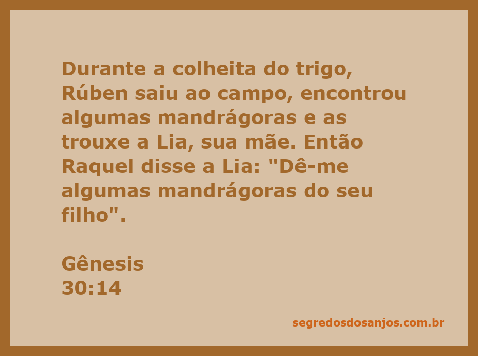 Rúben trazendo mandrágoras para Lia durante a colheita do trigo.