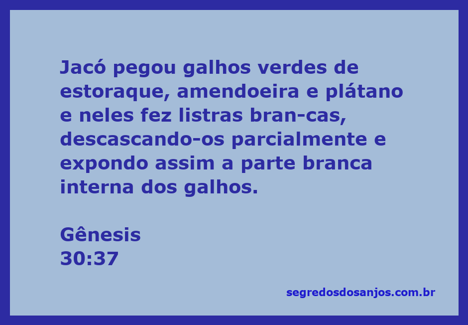 Imagem de galhos de estoraque, amendoeira e plátano com listras brancas, representando a técnica de Jacó descrita em Gênesis 30:37.