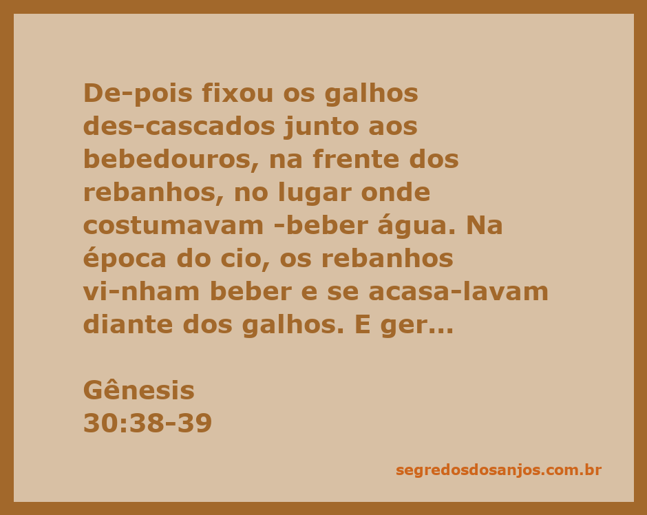 Imagem que ilustra a prática de Jacó ao colocar galhos des­cascados junto aos bebedouros para influenciar a prole dos rebanhos.