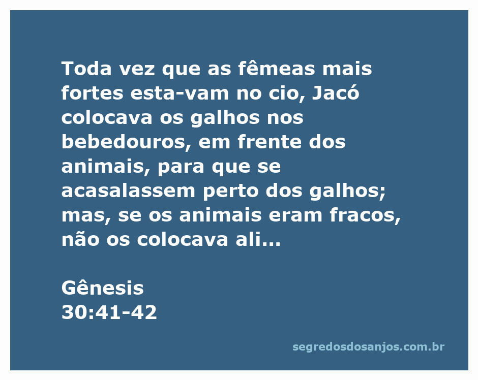 Jacó utilizando galhos nos bebedouros para direcionar o acasalamento dos animais mais fortes, conforme descrito em Gênesis 30:41-42.