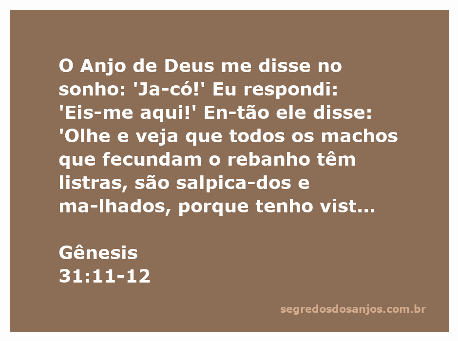 Imagem de um sonho bíblico onde o anjo de Deus fala com Jacó sobre o rebanho listrado e malhado.