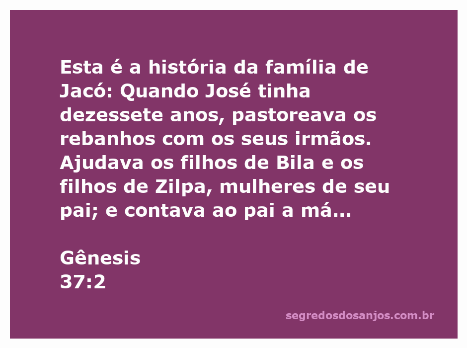 Ilustração de José pastoreando rebanhos com seus irmãos, conforme Gênesis 37:2.