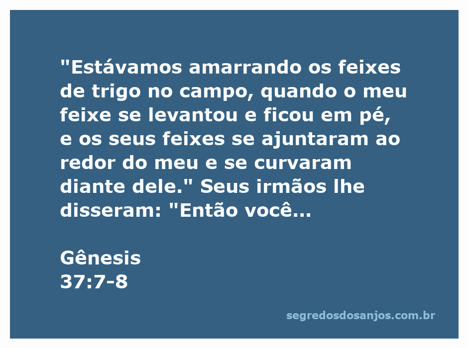 Ilustração de feixes de trigo representando o sonho de José em Gênesis 37:7-8, onde seu feixe se levanta e os feixes dos irmãos se curvam diante dele.