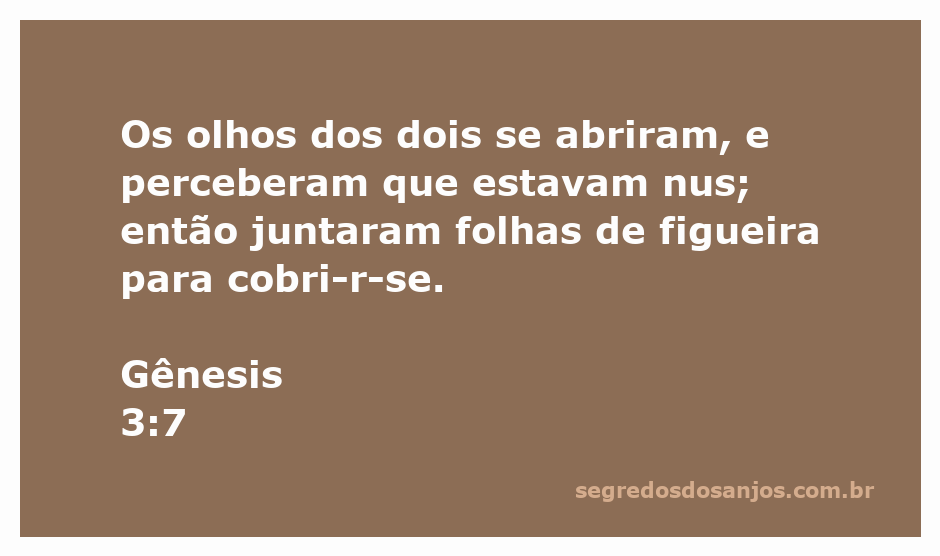 Imagem de Adão e Eva cobrindo-se com folhas de figueira após perceberem sua nudez.