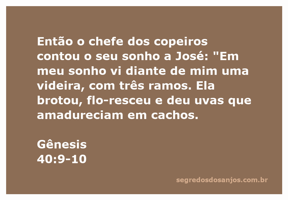 Imagem representando a videira com três ramos e cachos de uvas, simbolizando o sonho do chefe dos copeiros contado a José.