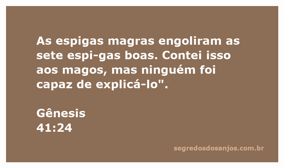 Ilustração de espigas de trigo, destacando as magras que engoliram as boas, representando o sonho de Faraó em Gênesis 41:24.