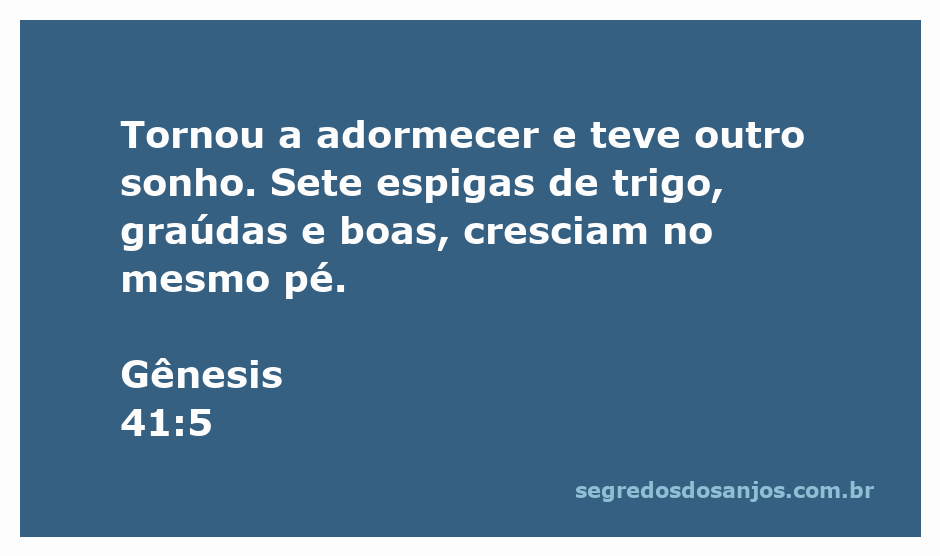 Imagem de sete espigas de trigo graúdas e saudáveis crescendo em um pé, representando o sonho de Faraó em Gênesis 41:5.