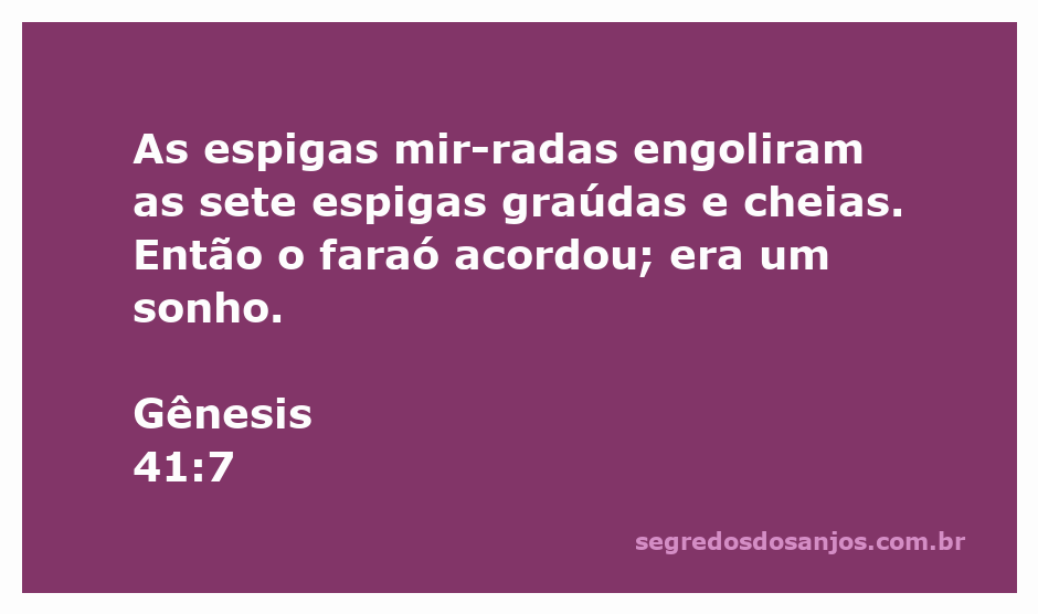 Ilustração do sonho do faraó com espigas mirradas e graúdas representando Gênesis 41:7.