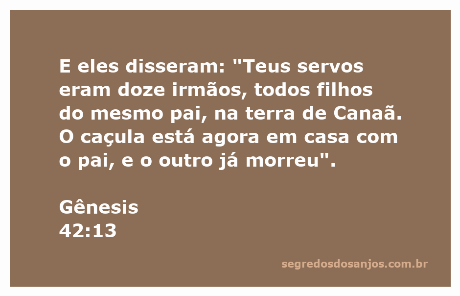Os doze irmãos de José, filhos do mesmo pai, com menção ao caçula e ao irmão falecido.