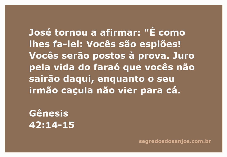 Imagem de José, o governador do Egito, confrontando seus irmãos e acusando-os de espionagem conforme descrito em Gênesis 42:14-15.