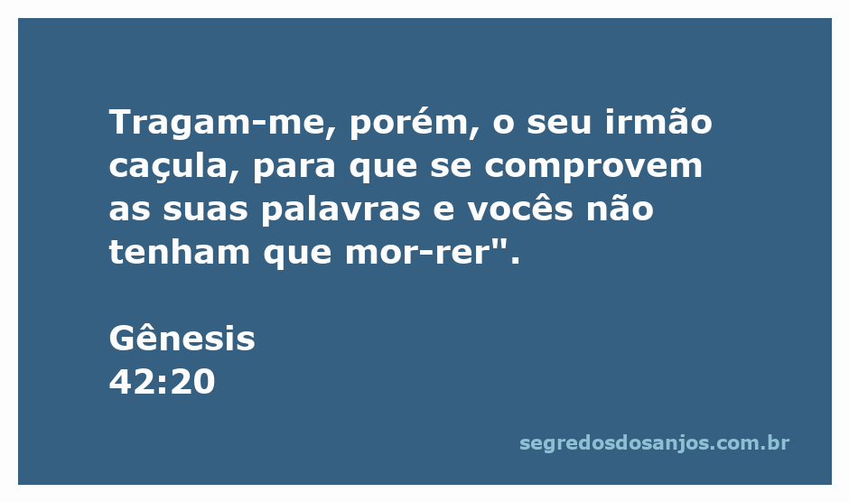 Imagem representativa da passagem de Gênesis 42:20, ilustrando a cena em que a necessidade de trazer o irmão caçula é mencionada.