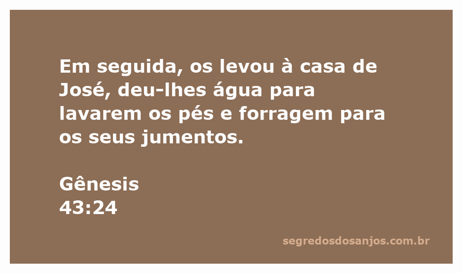 José recebe seus irmãos em sua casa e lhes oferece água e forragem para os jumentos.