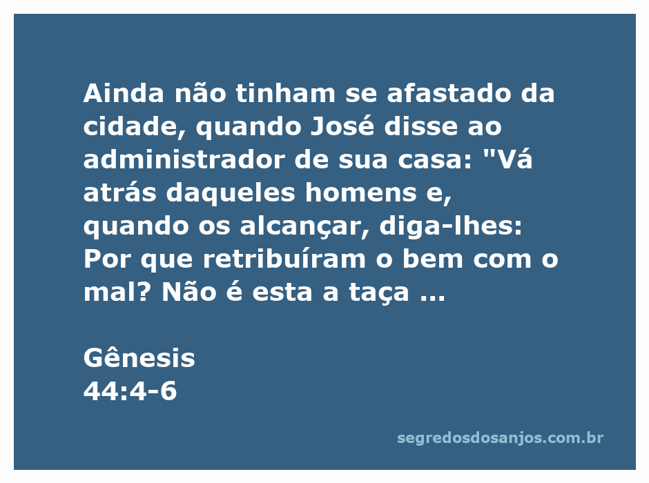 José confronta seus irmãos sobre a taça roubada, representando a justiça e a sabedoria divina.