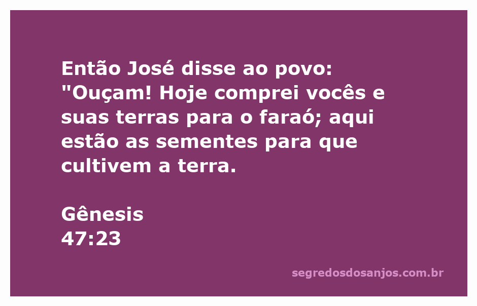 José falando ao povo sobre a compra de terras e sementes para cultivo na época do faraó.