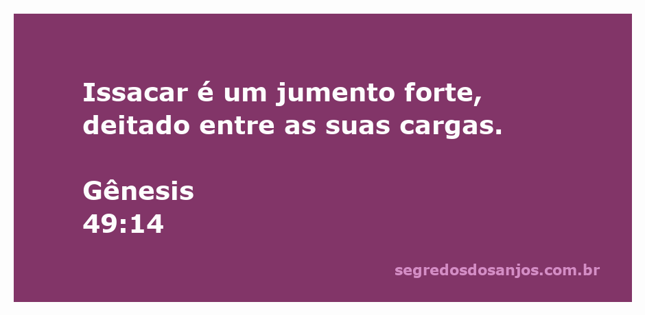 Imagem de um jumento forte representando Issacar, deitado entre suas cargas, simbolizando força e trabalho.