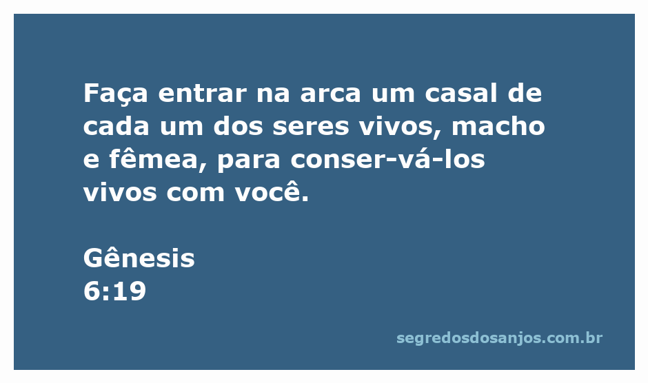 Representação da arca de Noé com casais de animais entrando