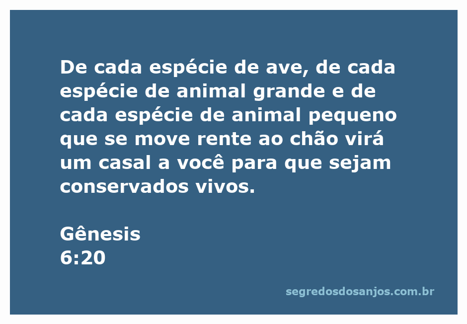 Animais e aves sendo levados para a arca de Noé, representando a preservação da criação.