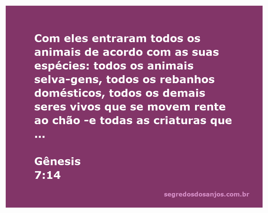 Animais de diferentes espécies entrando na arca, conforme descrito em Gênesis 7:14.