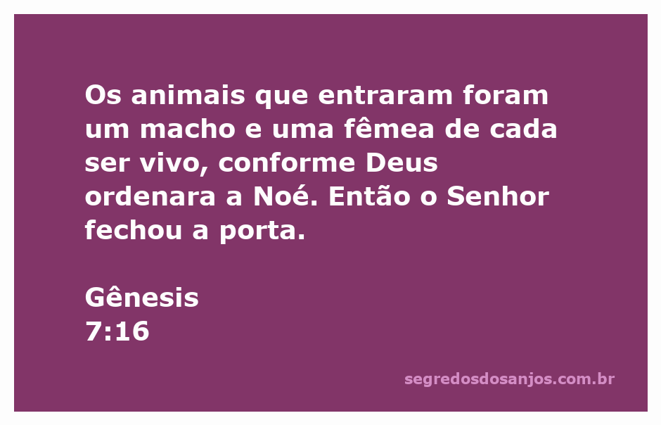 Representação da entrada dos animais na arca de Noé, incluindo um macho e uma fêmea de cada espécie.