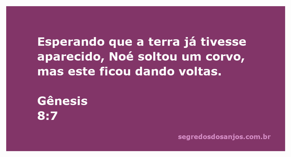 Noé soltando um corvo enquanto espera a terra aparecer após o dilúvio.