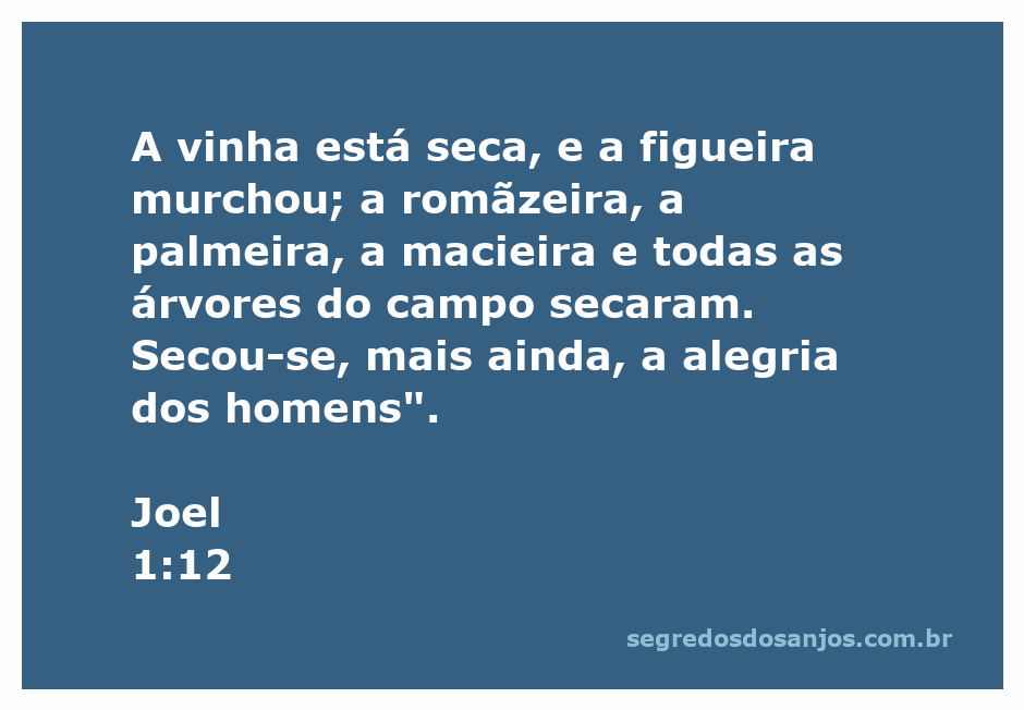 Imagem de árvores secas representando a passagem de Joel 1:12, simbolizando a desolação e a perda de alegria.