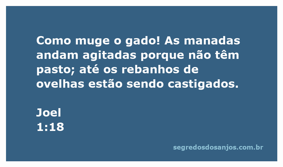 Imagem de um campo seco com gado e ovelhas demonstrando agitação devido à falta de pasto, representando a passagem de Joel 1:18.